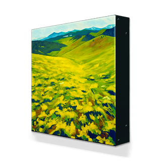Balsam Root on the Bison Range - Metal Box Art Metal Box Wall Art Nancy Seiler