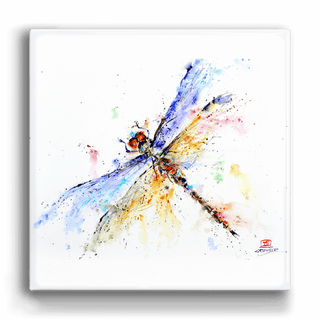 Pond Dragonfly - Metal Box Art Metal Box Wall Art Dean Crouser