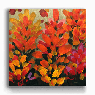 Indian Paintbrush II - Metal Box Art Metal Box Wall Art Nancy Seiler