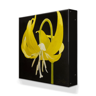 Glacier Lily - Metal Box Art Metal Box Wall Art Nancy Seiler