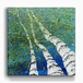 Looking Skyward 1: The First Glimpse