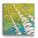 Looking Skyward 3: The Canopy's Dance