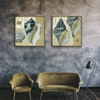 Indigo Shells: Whelk Pair - Metal Box Art Metal Box Wall Art Suzanne Nicoll