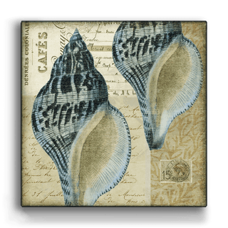 Indigo Shells: Whelk Pair - Metal Box Art Metal Box Wall Art Suzanne Nicoll