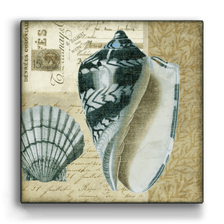 Indigo Shells: Scallop and Olive - Metal Box Art Metal Box Wall Art Suzanne Nicoll
