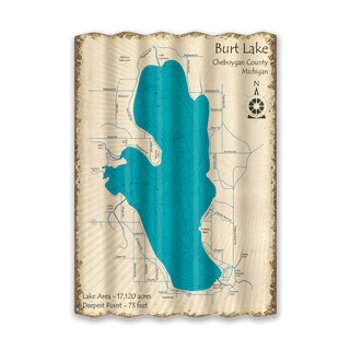 Burt Lake, Michigan- Corrugated Metal Wall Art Corrugated Wall Art Lake Art