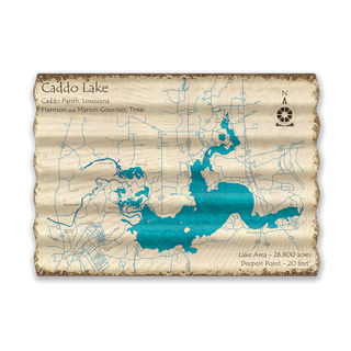 Caddo Lake, Louisiana & Texas - Corrugated Metal Wall Art Corrugated Wall Art Lake Art