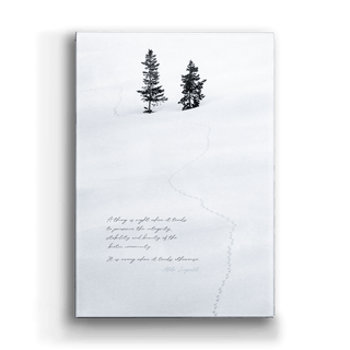 Two Pines' Whispers - Metal Box Art Metal Box Wall Art Michael Underwood