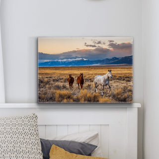 Horses in the San Luis Valley - Metal Box Art Metal Box Wall Art Michael Underwood