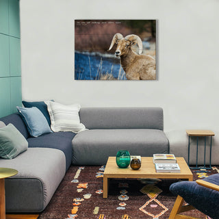 Majestic Bighorn - Wood & Metal Wall Art Wood & Metal Wall Art Michael Underwood