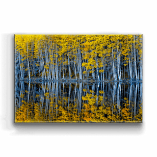 Mirrored Aspens - Metal Box Art Metal Box Wall Art Michael Underwood