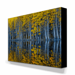 Mirrored Aspens - Metal Box Art Metal Box Wall Art Michael Underwood