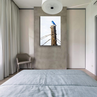 Mountain Bluebird - Metal Box Art Metal Box Wall Art Michael Underwood