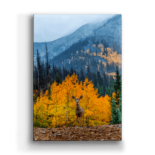 Curious Deer - Metal Box Art Metal Box Wall Art Michael Underwood