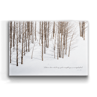 Edge of the Winter Woods - Metal Box Art Metal Box Wall Art Michael Underwood