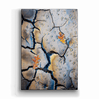 Autumn in Paria Canyon - Metal Box Art Metal Box Wall Art Michael Underwood