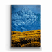 Metal Box Art