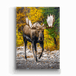 Metal Box Art