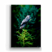 Metal Box Art