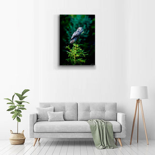 Great Gray Owl - Metal Box Art Metal Box Wall Art Michael Underwood
