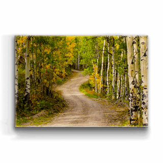 Path in the Aspens - Metal Box Art Metal Box Wall Art Michael Underwood
