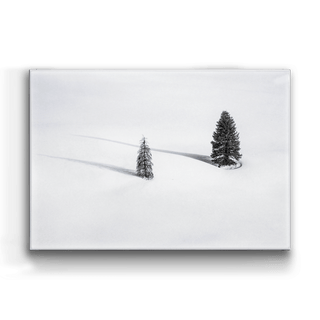 Solitude's Shadows - Metal Box Art Metal Box Wall Art Michael Underwood
