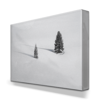 Solitude's Shadows - Metal Box Art Metal Box Wall Art Michael Underwood