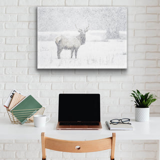 Snow Covered Elk - Metal Box Art Metal Box Wall Art Michael Underwood