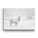 Metal Box Art