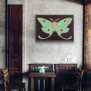 Luna Moth - Metal Box Art Metal Box Wall Art Shelle Lindholm