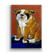 Metal Box Art