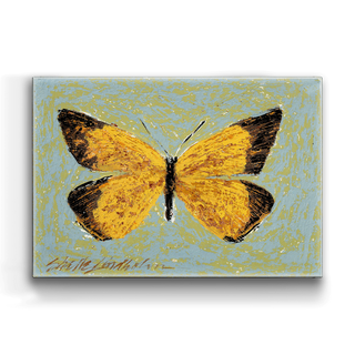 Orange Sulpher Butterfly - Metal Box Art Metal Box Wall Art Shelle Lindholm