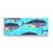 School of Bluefin