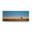 Metal Box Art