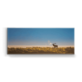 Bull Elk at Sunrise - Metal Box Art Metal Box Wall Art Michael Underwood