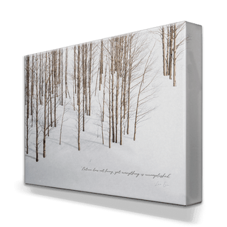 Edge of the Winter Woods - Metal Box Art Metal Box Wall Art Michael Underwood