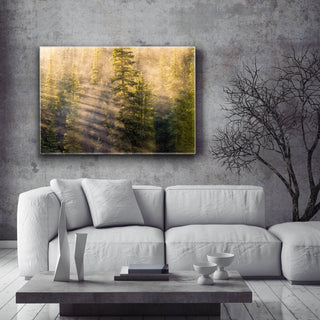 Sunshine in the Forest - Metal Box Art Metal Box Wall Art Michael Underwood