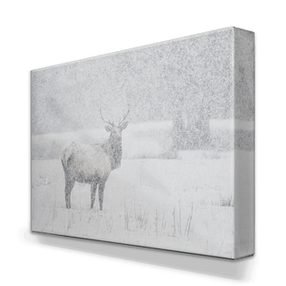 Snow Covered Elk - Metal Box Art Metal Box Wall Art Michael Underwood