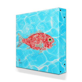 Solo Red Snapper - Metal Box Art Metal Box Wall Art FishAye Trading Company