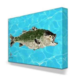Solo Striped Bass - Metal Box Art Metal Box Wall Art FishAye Trading Company