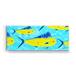 School of Mahimahi