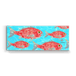 School of Red Snapper