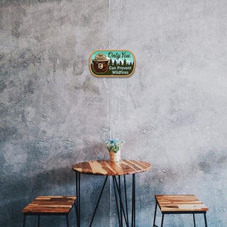 Smokey Bear Only You Oval - Aluminum Shaped Wall Art Shaped Wall Art Smokey Bear