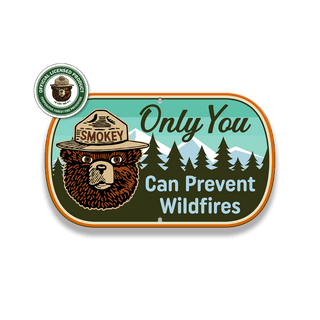 Smokey Bear Only You Oval - Aluminum Shaped Wall Art Shaped Wall Art Smokey Bear