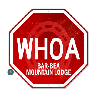 Whoa Stop Sign - Decorative Plaque Shaped Wall Art Meissenburg Designs