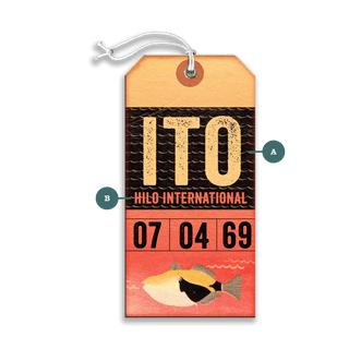 Hilo International - Luggage Tag Luggage Tag Wall Art Meissenburg Designs