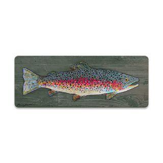 Rainbow Trout by Shelle Lindholm - Souvenirs & Gifts Souvenirs & Gifts Shelle Lindholm