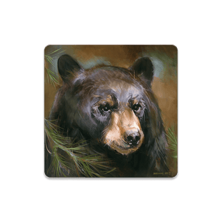 Bear in Branches: Bear 3 - Souvenirs & Gifts Souvenirs & Gifts Marilynn Dwyer Mason