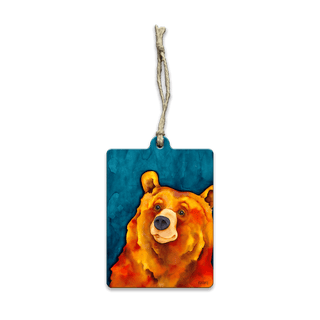 Mr. Sunshine Bear - Souvenirs & Gifts Souvenirs & Gifts Karen Savory