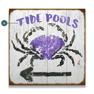 Tide Pools - Wood & Metal Wall Art Wood & Metal Wall Art FishAye Trading Company